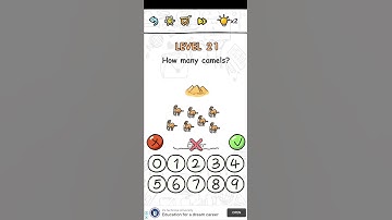 Brain challenge puzzle level 21 How many camels walkthrough