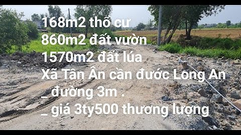 Bán đất làm nhà vườn || 168 thổ cư,  860 vườn, 1570 lúa , đất ráp con kênh nhỏ.