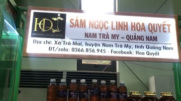 Phiên chợ sâm Ngọc Linh tháng 7 II Cơ sở Hoa Quyết