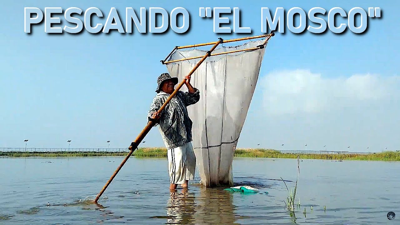 Pescando el mosco en el Lago de Texcoco
