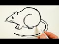 How to draw a rat easy  drawing on a whiteboard