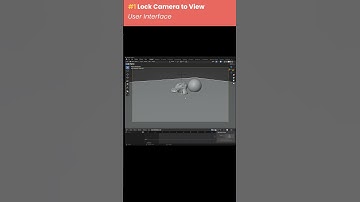 #1 Lock View to Camera