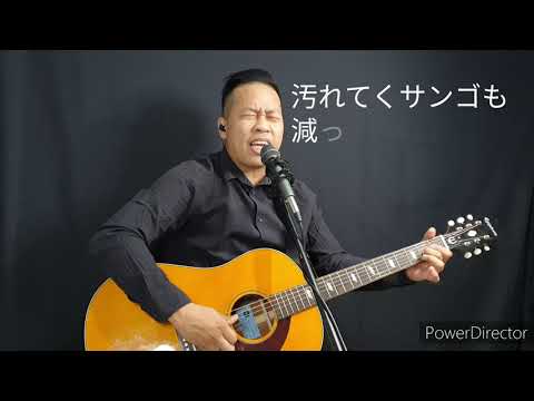 Shimanchu Nu Takara (島人ぬ宝) Cover by Ade Prihartanto