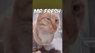 Mr. Fresh Cat Nextbot Gmod #nextbots #gmod #cat