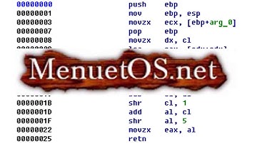 Menuet OS Assembly Language Extravaganza | Weird OS #3