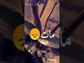 زرعت فيكم كل خير