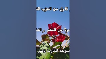 تلاوه جميله للقارئ ياسر سلامه #تلاوات #قرآن #راحة_نفسية#اكسبلور#تلاوة_خاشعة#سورة#السعودية#قران_كريم