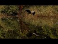 Pavel Kiparisov - Five Songs of a Stork