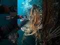 Skeleton Chained to Ship Engine Telegraph Safe Lever (Wreck Bridge)”