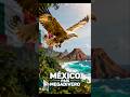  "¡MÉXICO: EL PAÍS MEGADIVERSO QUE TE ROBARÁ EL CORAZÓN!" #shortvideo