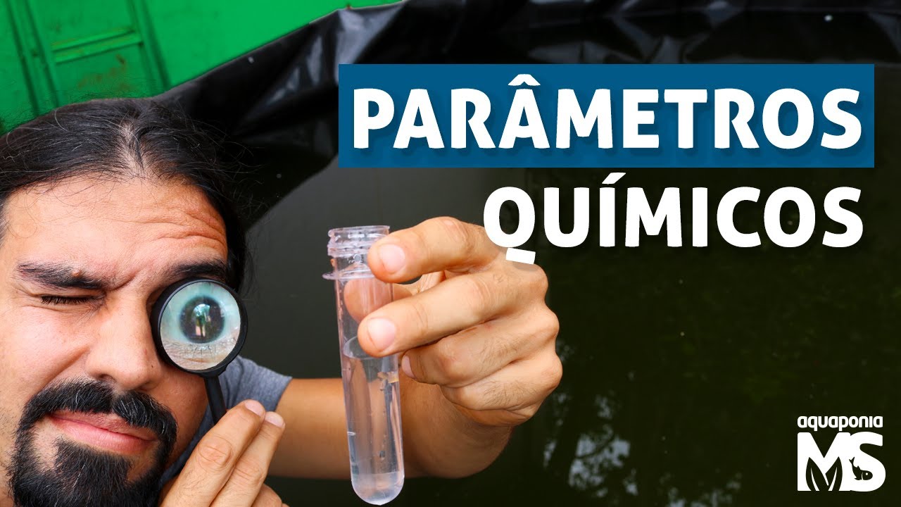 Parâmetros da água & soltura dos alevinos no tanque