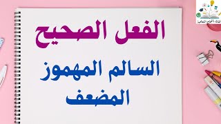 الفعل الصحيح (السالم - المهموز - المضعف)