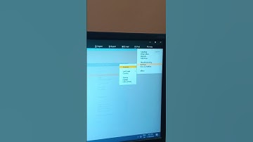 Tally Prime   Color Setting
