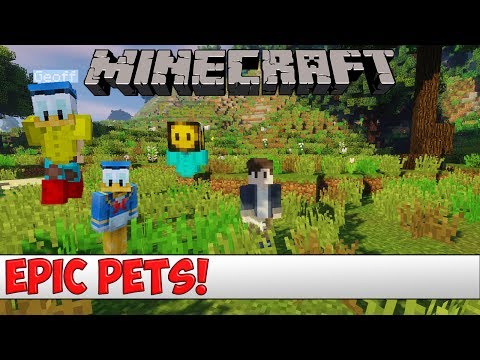 Minecraft Plugin Tutorial - Epic Pets