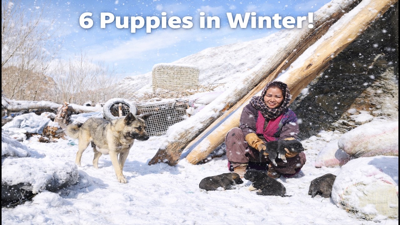 New Potato and Vegetable Dish | Winter Life in a Mountain Village of Afghanistan ❄️🥔