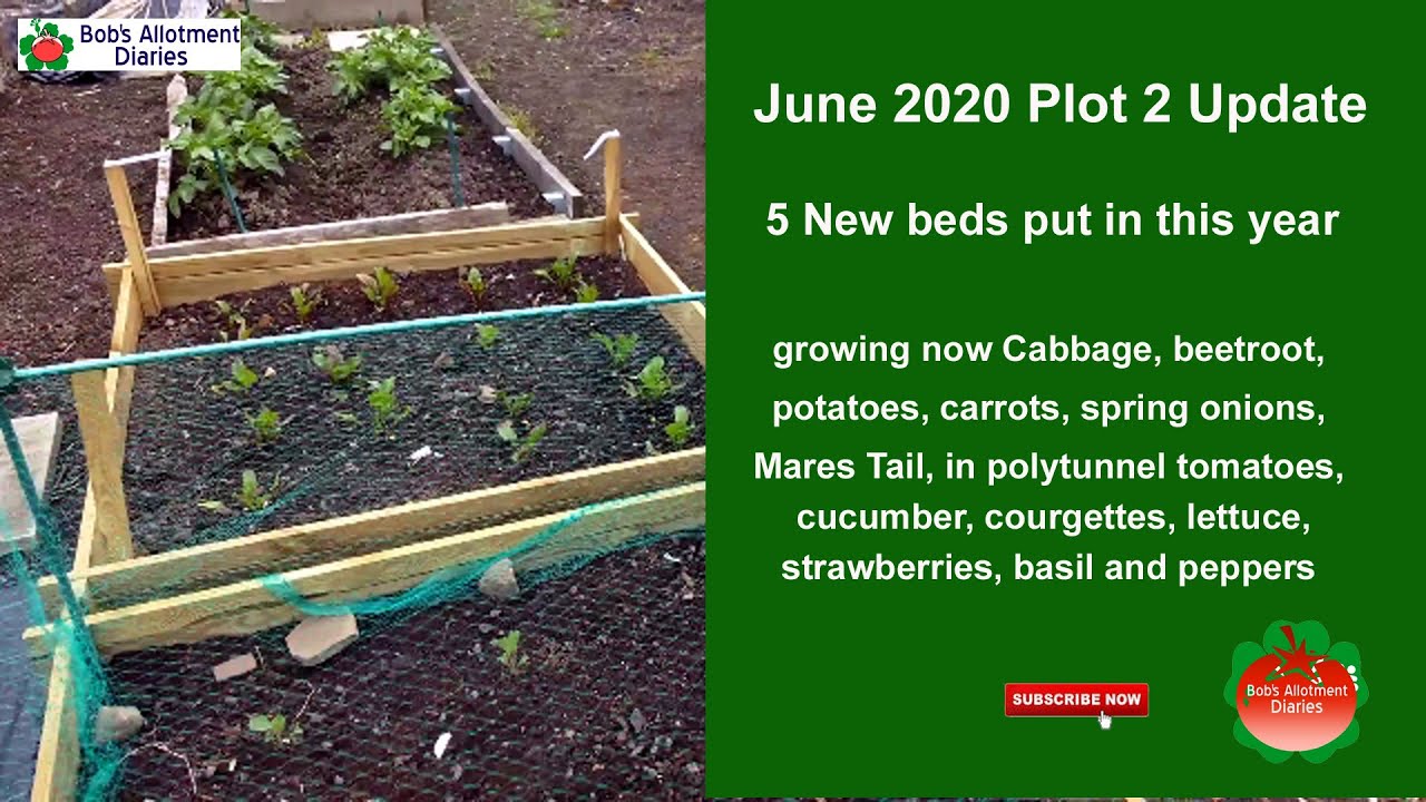 Plot 2 Update June 2020