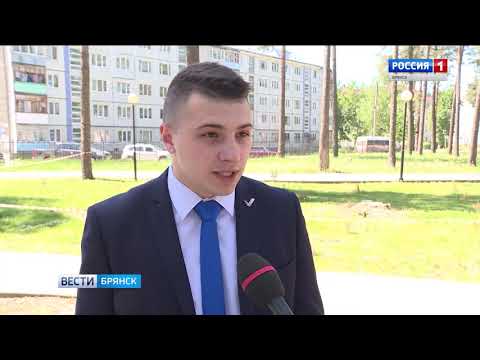 В Сельцо проходят масштабные работы по озеленению города