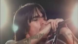 Red Hot Chili Peppers - Venice Queen - Live MTV Jammed 2002