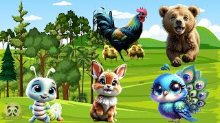 Lovely Animal Sounds:  Bear, Peacock, Worm, Rooster, Rabbit | Animal Sounds