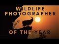 Best wildlife photos  photographer of the year