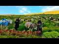 Nomadic Girls Migration In The Dangerous Zagros Mountains The Reality Of Hardships You Must See 