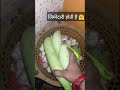 ज़माने की नहीं कमाने की सोचता है 👌🤗 #shortvideo #shortsfeed  #pragyascookingstyle  #motivation