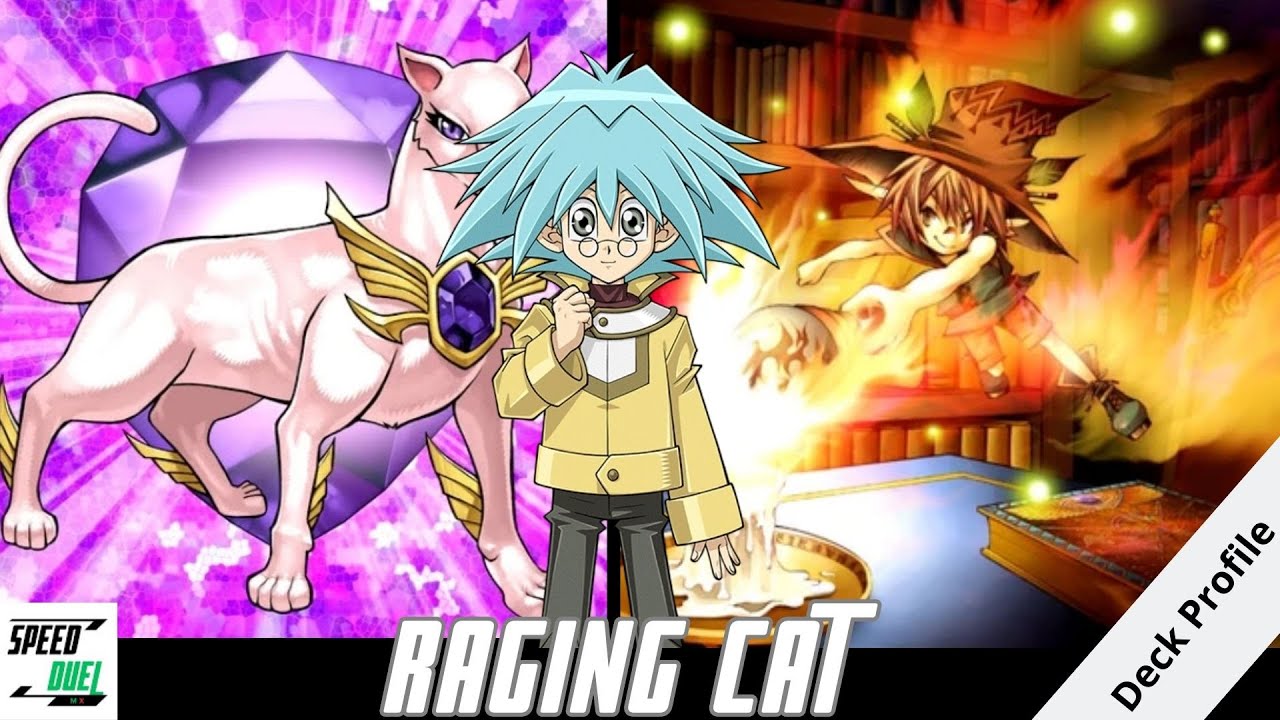 Deck Profile: Raging Cat YGO Speed Duel April 2023 - YouTube