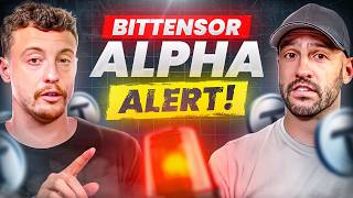 🚨 Bittensor Alpha Alert - Insane Insider Information