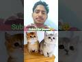 Billi bahut hi Masoom aur pak  Janwar hai