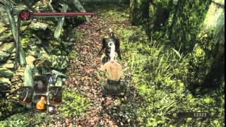 DARK SOULS™ II: Standing Riposte After Parry?