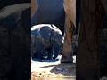 The Baby Elephant Saved Them All… You Won’t Believe How 🐘🔥