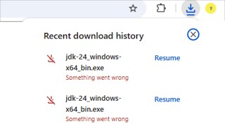 Google Chrome - Something Went Wrong Download Issue - 2025