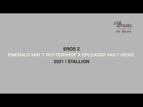 Eros Z