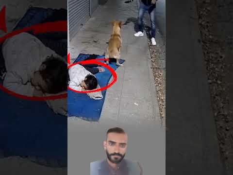 اقترب الخطر فوقف الكلب شامخا يدافع عن الطفل النائم بلا خوف ولا تردد 