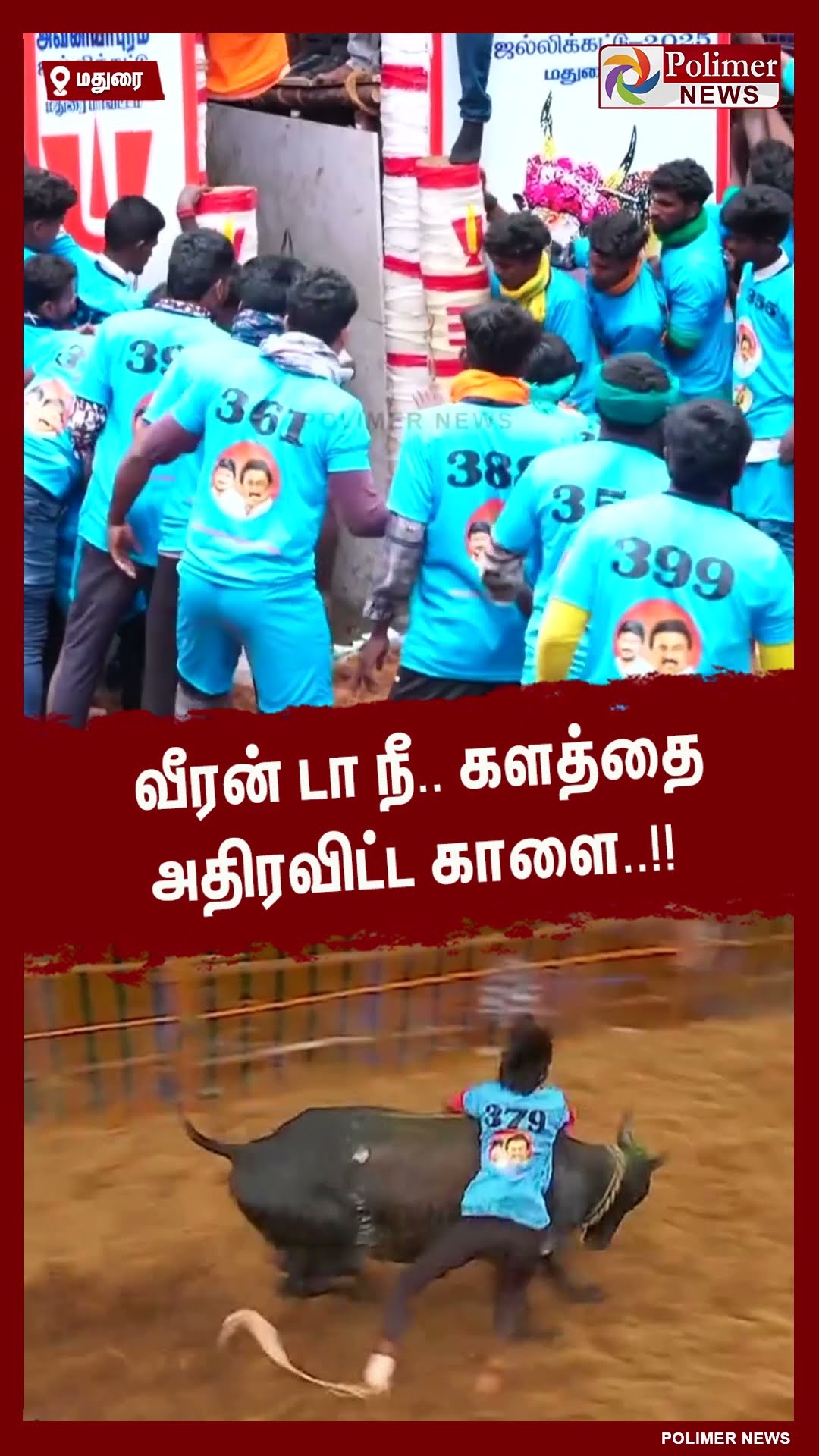 வீரன் டா நீ..  களத்தை அதிரவிட்ட காளை..  #shorts | #avaniyapuramjallikattu