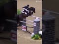 Heavy love #heavylove #showjumping #fyp