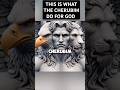 See What The Cherubim Do For God Angels Heavenlybeings Cherubim Biblicalcreatures See What The Cherubim Do For God Angels Heavenlybeings Cherubim Biblicalcreatures