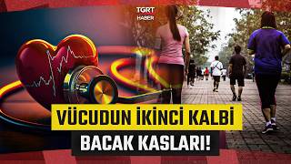 Vücudun Kan Akışını Sağlayan Gizli Motoru Bacak Kasları Uzman Doktordan Kritik Sağlık Uyarısı