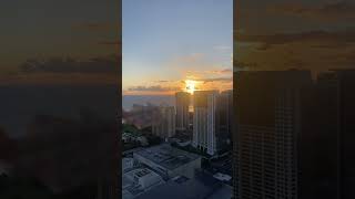 Origami Crane Flying Hawaii