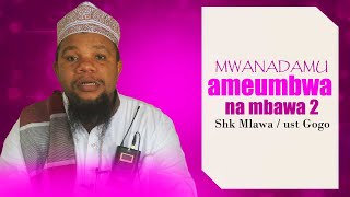 MWANADAMU ameumbwa na MBAWA MBILI