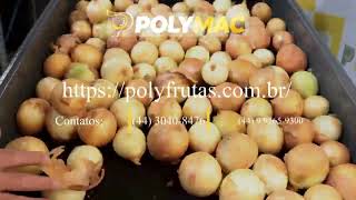 Limpeza de cebolas - Polyfrutas PF-200