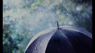 TC and the Roadmasters Feels Like Rain screenshot 5