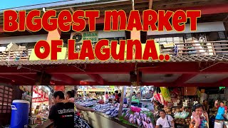 Biñan Laguna Public Market | Ang lawak at ang daming tinda | Bagsakan sa laguna