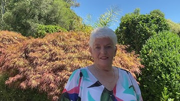 Cochlear implant user, Cabby, shares a message to Professor Graeme Clark