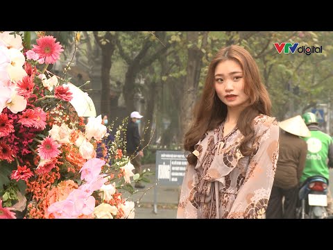 Video Những cột đèn 