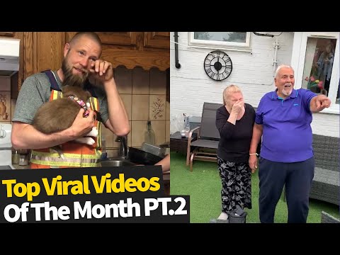 Top 20 Best Viral Videos Of The Month - June 2020 (Part 2)