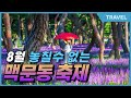 8월이면 놓칠수 없는 보라빛 여름으로 초대 제3회 서천 장항 맥문동꽃축제, 연간 120만명 방문 #맥문동축제 #서천가볼만한곳