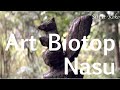 Artbiotop nasu voice english 