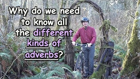 LESSON 16: A Mini-Lesson on Classification | Video from Thomas | The Basic Cozy Grammar Course