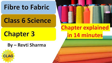 Fibre to fabric Class 6 Science Chapter 3 By Revti Sharma